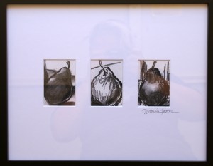 pear studies, charcoal drawings of pears