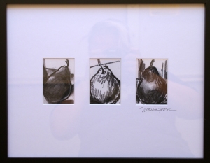 pear studies, charcoal drawings of pears